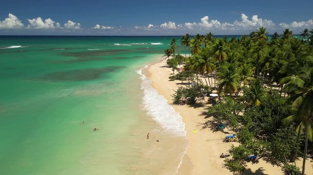 Scenic drone footage of Punta Popy Beach &mdash; untouched tropical beach with palms. Perfect for eco-travel and outdoor content
