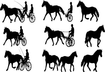 Horse combined driving, Harness racing, horse pair carriage, marathon, vector pony silhouette, equestrian sport, isolated on white background, horse silhouette, set of horse, collection