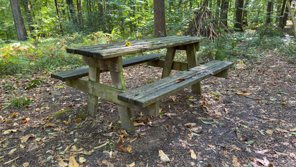 Weathered wooden picnic table in a sun-dappled forest, surrounded by fallen leaves and trees