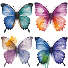 Fototapeta premium Four colorful butterflies watercolor art butterfly