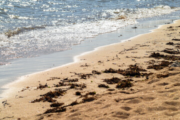 Shoreline with Small Waves. Clear water waves washing up sandy shore on a sunny day.