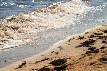 Sandy Beach Shoreline. Gentle waves rolling onto sandy beach with golden light reflections.