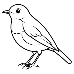 Obraz premium robin bird colorful vector 