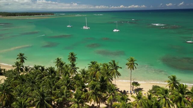 Wide 4K drone footage of Punta Popy Beach &mdash; pristine coast in Samana peninsula. Great for destination branding campaigns