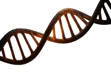 Abstract DNA double helix structure