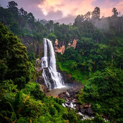 Fototapeta premium A lush rainforest setting embraces a cascading waterfall, bathed in the soft glow of a sunrise.