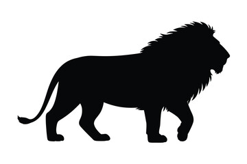 Silhouette of a majestic male lion walking with a full mane © motiur vector artist