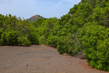 Scenic view of the trail La Llania on El Hierro, Canary Islands, Spain, Europe	

