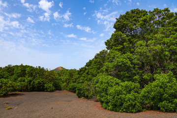 Scenic Mirador La Llania  view on El Hierro Island, Canary Islands, Spain, Europe