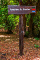 Scenic view of the trail La Llania on El Hierro, Canary Islands, Spain, Europe	
