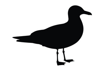 Silhouette of a seagull standing against a white background