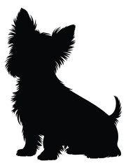 Silhouette of a fluffy terrier dog sitting alertly