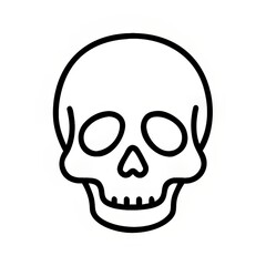 Fototapeta premium human skull vector illustration