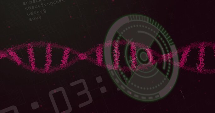 Presenting pink DNA double helix stretching in grid interface with green circular HUD data strings