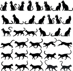 Fototapeta premium silhouettes of cats