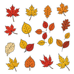 Obraz premium Cute Autumn Leaves Vector Set
