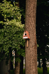 Wooden Birdhouse on a Tree.