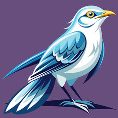 Obraz premium beautiful mocking bird 