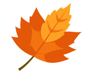 Obraz premium autumn leaf icon,autumn leaf vector on white background