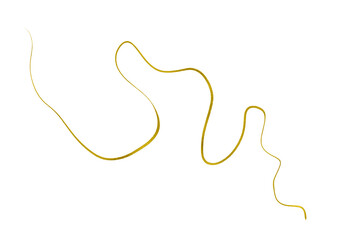Gold Wave Shape Line