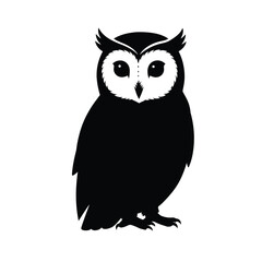 Detailed owl illustration with contrasting white facial features a striking silhouette