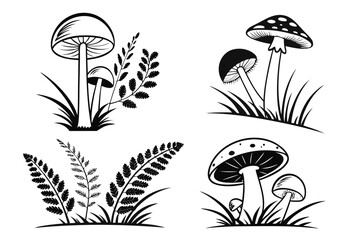 mushrooms vector illustration