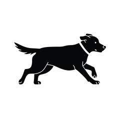 A black labrador retriever in a walking pose striking silhouette