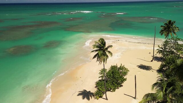 Scenic drone footage of Punta Popy Beach &mdash; palm trees and turquoise sea. Best for lifestyle and vacation campaigns