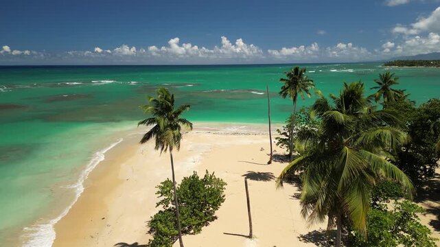 Scenic aerial of Punta Popy Beach &mdash; palm-lined sandy shoreline and turquoise waters. Perfect for property and resort marketing