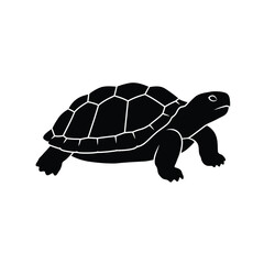 A stark black turtle design presented as a bold graphic silhouette