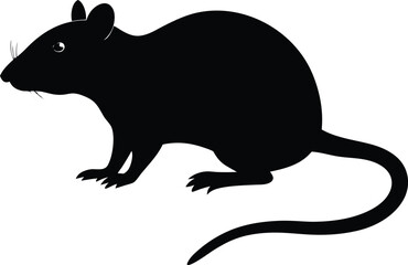 Close-up of a textured rough stone surface with natural imperfections and subtle gradients isolated on transparent background