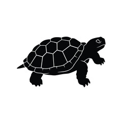 A detailed black turtle graphic design with a striking silhouette