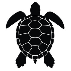 Detailed turtle top view in black and white striking artistic silhouette