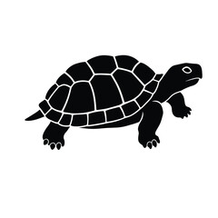 Detailed black turtle graphic showcasing its shell and form silhouette