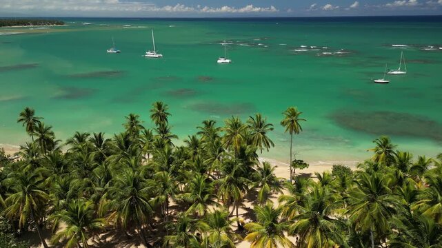 4K drone capture of Punta Popy Beach &mdash; crystal-clear underwater view and sandy coast. Best for snorkeling and diving promotions