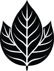 Abstract geometric shapes and gradients create a modern dynamic design with vibrant colors isolated on transparent background