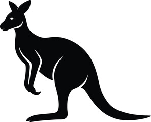 Elegant hand holding rose flower delicate petals close up macro photography isolated on transparent background