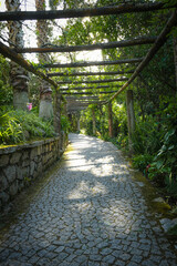 Idyllic Garden Pathway with Pergola and Sunlight