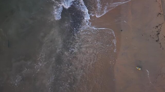 Aerial drone view of a roosterfish attacking a sardine bait ball in the clear waters of the Sea of Cortez, Baja California Sur, Mexico. Marine predator behavior and ocean wildlife from above.