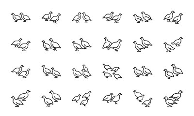 Bird Silhouette Icon Set in Minimal Line Art Style on White Background – Vector Collection of Flying Birds, Penguins, Parrots, Ducks, and Songbirds for Nature and Wildlife Design