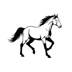 Elegant white horse in motion dynamic pose captured in silhouette