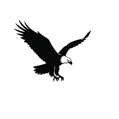 Majestic bird of prey in flight wings outstretched black silhouette