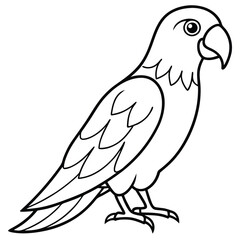 Fototapeta premium african grey parrot,