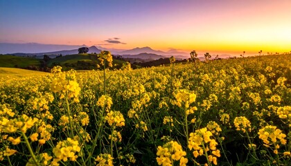 A vibrant landscape at sunset featuring a field of yellow flowers under a golden sky, with distant mountains
