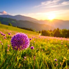 Obraz premium Lush mountain meadow at sunrise (1)