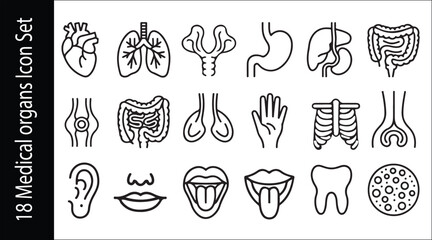 18 Medical Organ Icons Set , Style for Healthcare, Infographics, and Educational Design