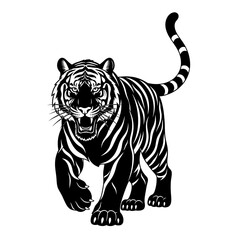 Fototapeta premium tiger on white background