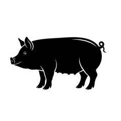 Fototapeta premium vector illustration of a pig