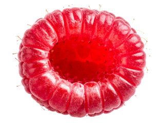  Hyperrealistic Raw Raspberry Slice Isolated PNG