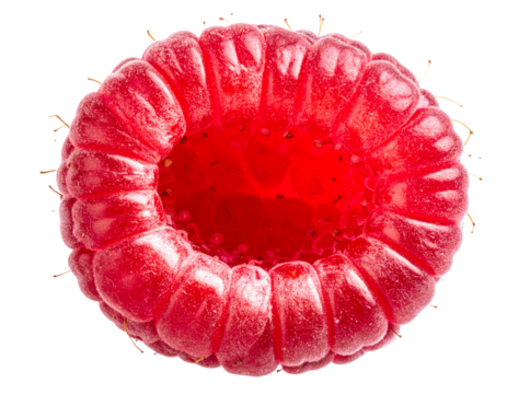  Hyperrealistic Raw Raspberry Slice Isolated PNG